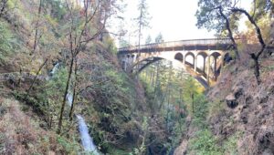 Shepperds Dell waterfall and 1914 bridge